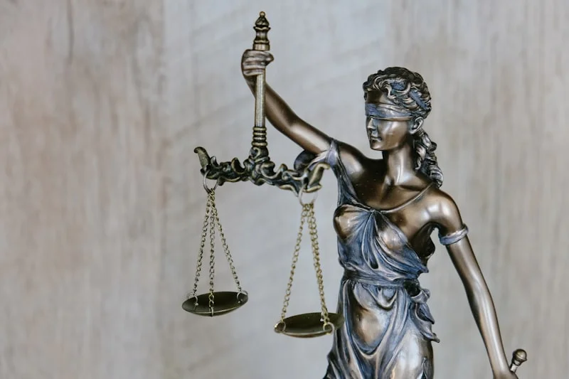 LAW COURSES